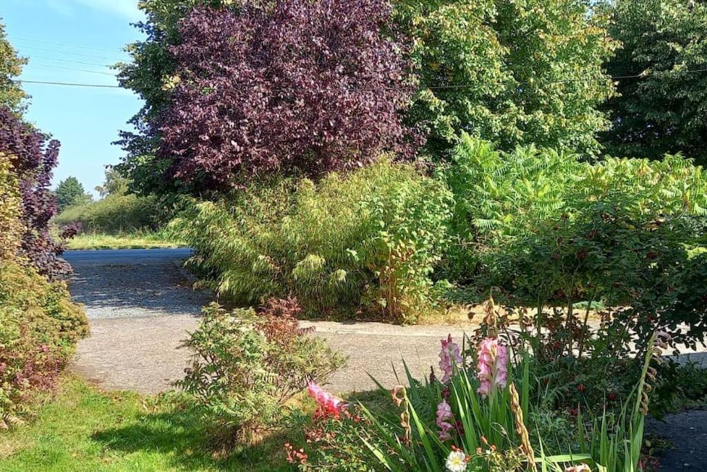 Millfields Cottage And Garden Goxhill  Bagian luar foto